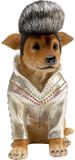 Kare Design Spaarpot hond koning van de rock