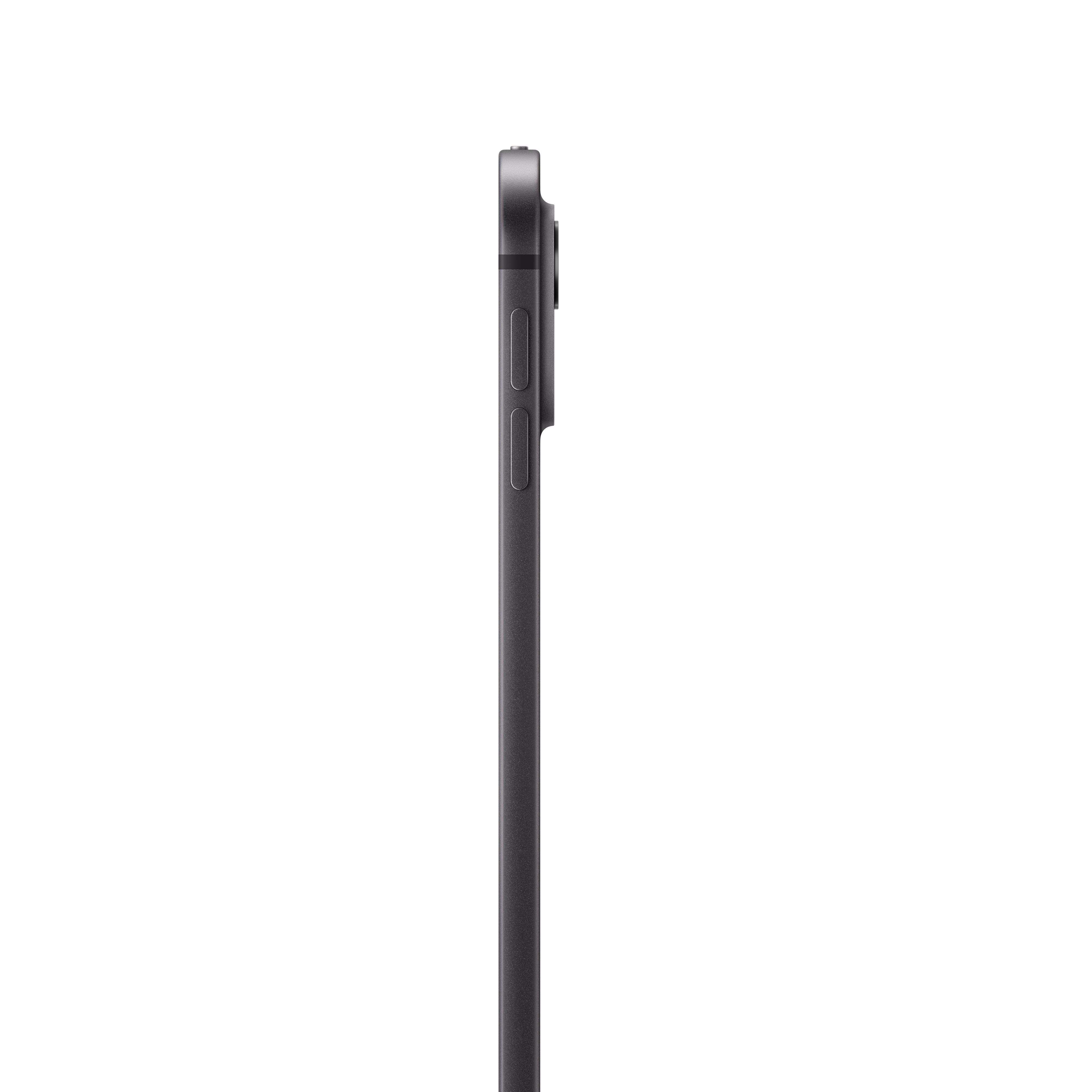 Apple iPad Pro / WiFi / 256 GB / Zwart