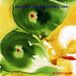 Out Atavistic Out Trios 5: Up From Under