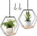 Plaatsloze plantenhangers - Set van 2 - Metalen ring met houten sokkel