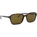 Ray-Ban Raimond RB2231 902/57 56