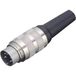 binder 99-2005-00-03 Ronde connector Stekker, recht Totaal aantal polen: 3 Serie (ronde connectoren): 581 1 stuk(s)