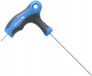 Hoegert Clé Torx de sécurité T8 Long - Acier S2 de qualité