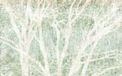 Komar Fotobehang - Peaceful Place 400x250cm - Vliesbehang