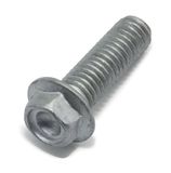 TE Aprilia TE schroef met flens M8x25 mm, AP8152287