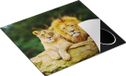Chefcare Inductie Beschermer Leeuw en Leeuwin - Liefde Koppel - 57,6x51,6 cm - Multicolor