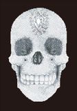 Diamond Dotz Crystal Skull Diamond Painting Kit