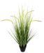 Kunstgras Setaria in pot