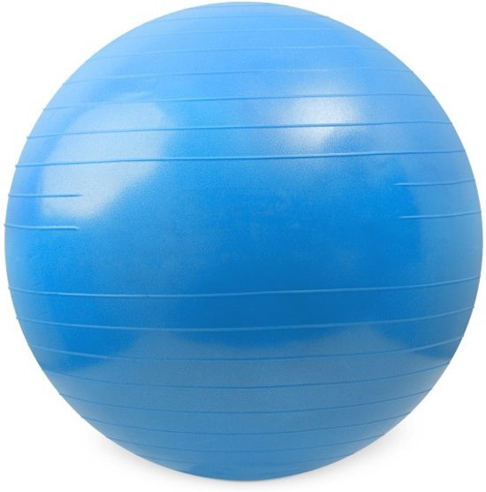 Matchu Sports Fitnessbal - Ã˜ 75 cm - Blauw