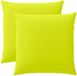 vidaXL Coussin 2 pièces Vert clair 55 x 55 cm Polyester