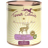 Terra Canis Classic Adult Wild met pompoen, volkoren noedels en rode bosbessen 6x800 g