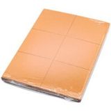 1FPP 5 Lijmvallen A5 Formaat voor Muizen – De Krachtige lijmvallen oplossing voor direct resultaat