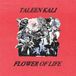 Sonic Rendezvous Taleen Kali Flower Of Life (LP)