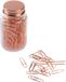 Merkloos / Sans marque Inspirion Gmbh Koperen paperclips in glazen pot - 200 stuks