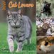 Plenty Gifts Cat Lovers Kalender 2027
