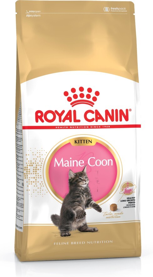 Royal Canin Breed Maine Coon Kitten