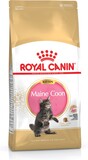 Royal Canin Breed Maine Coon Kitten - 4 kg