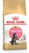 Royal Canin Breed Maine Coon Kitten - 4 kg