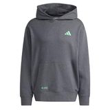 adidas MERCEDES - AMG PETRONAS FORMULA ONE TEAM PREMIUM SWEAT HOODIE