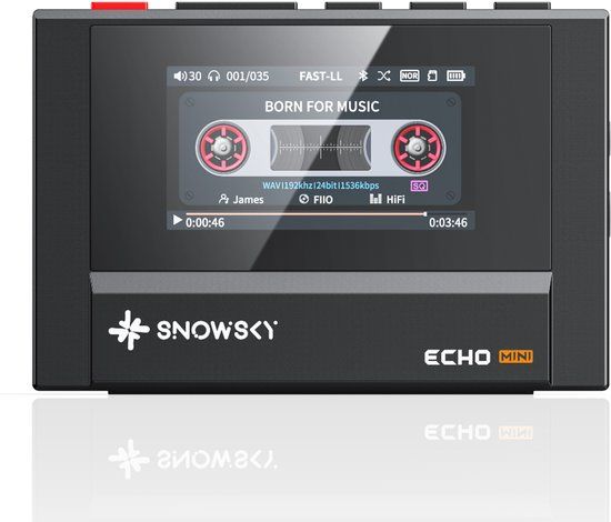 SnowSky/FiiO Snowsky Echo Mini Zwart