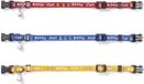 Beeztees Kitty Cat Kittenhalsband - Blauw - 16-23 cm