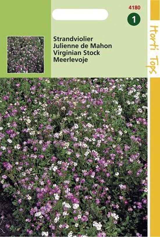 Hortitops Zaden - Cheiranthus (Malcolmia) Maritimus Gemengd