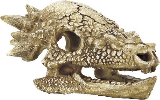 Superfish Skull T Rex M - Aquarium Ornament - 75 cm