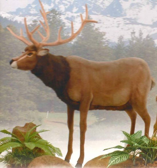 Hansa Toys Hansa Deer Reindeer 150cm Brown