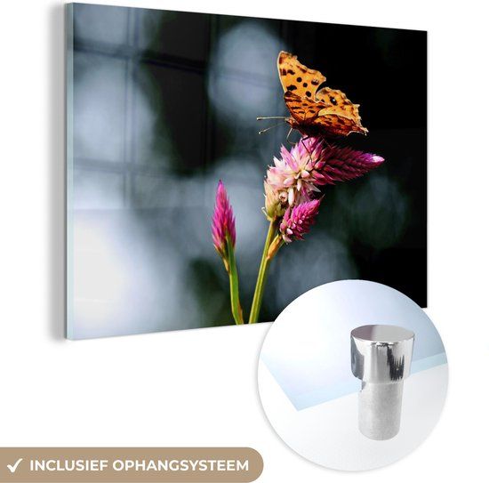 MuchoWow® Glass Painting 90x60 cm - Acrylic Glass Painting - Butterfly - Flowers - Insects - Photo on Glass - Paintings