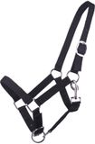 E essentials Q-essentials Halster voor veulen, nylon, verstelbaar, zwart, maat veulen