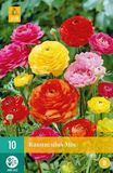 jub Bol X 10 Ranunculus mix