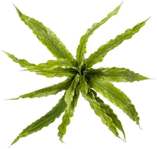 Emerald Fern asplenium bush x15 30 cm kunstbloem zijde nepbloem