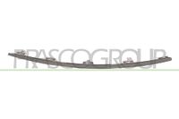 PRASCO Zier-/Schutzleiste, Kühlergitter AD0361203 unten | Compatibel met: AUDI A6 C6, A6 C6 Avant