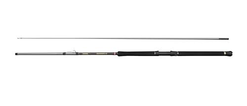 Penn Regiment IV Saltwater Fishing Rod - 2.43m - Silver