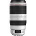 Canon EF 100-400mm f/4,5-5,6L IS II USM Téléobjectif - Noir/Blanc