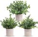 Unyqoos® set de 3 plantes artificielles (aspect eucalyptus), feuilles gris-vert, facile d'entretien, en plastique et pulpe de papier – décoration pour salon, bureau, salle de bain