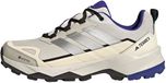 Adidas Terrex Terrex Skychaser Ax5 Gore-Tex Hikingschoenen - Heren - Beige