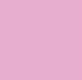 Spirella Textielgordijn Primo Rose 180X200 1237067, wit, standaard