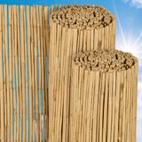 Sol Royal S36 Rietmatten Privacyscherm 180x600 cm Bruin