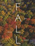 FALL: A visual journey into the beauty of the season