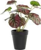 DKD Home Decor Decoratieve plant Roze Groen PE (10 x 10 x 27 cm)