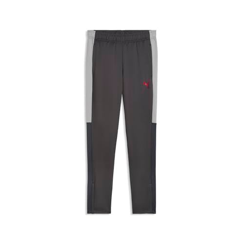 PUMA IndividualLiga Trainingsbroek Heren Grijs M