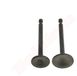 BPC Parts Kleppenset (2 Stuks) voor Honda GX100 (14711-Z0D-000, 14721-Z0D-000)