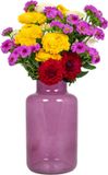 Bela Arte Bloemenvaas Milan - transparant paars glas - 15 x 25 cm