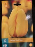 JUB - Tulipa Novi Sun