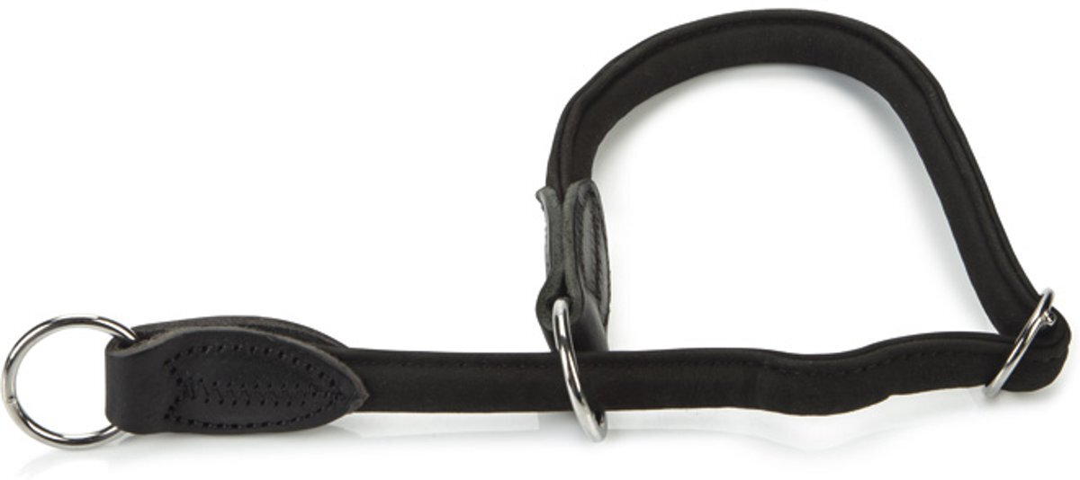 Beeztees Sliphalsband - Hondenhalsband - Zwart - 45cm x10mm
