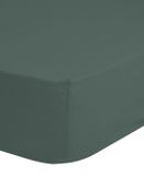 Good Morning Hoeslaken Effen Kleur - 1 Persoons 90x220 cm - Olijfgroen - 100% Katoen Renforce