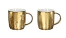 Tognana All Gold Set 2 gebogen bekers