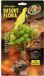Zoo Med Terrariumplant - Tree Houseleek