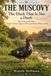 THE MUSCOVY ~ The Duck That Is Not a Duck
